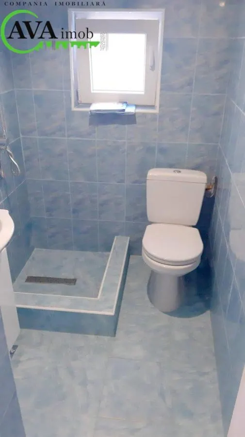 Proprietate ideala pentru familie extinsa sau investitie – Serbanesti, Bacau - foto 20