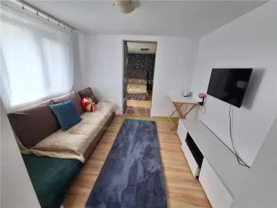 Proprietate ideala pentru familie extinsa sau investitie – Serbanesti, Bacau - foto 3