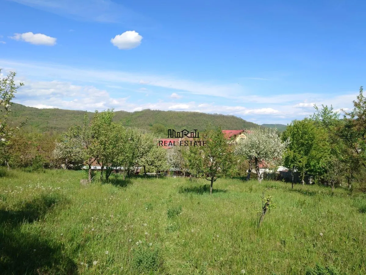 Casa si Teren Brad la drum european - foto 6