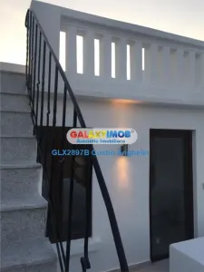 Vila reprezentativa individuala -  Aviatorilor - foto 14