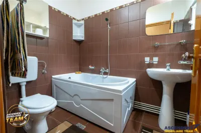 FILM! Doua case cu:piscina,foisor,arbori decorativi,1.700mp teren,Lutoasa,Covasna - foto 12