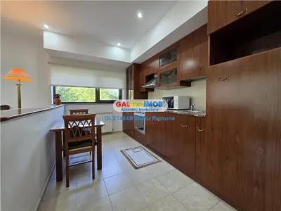 Apartament 2 camere Baneasa, Petrom City, Nuferilor - foto 7