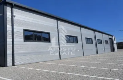 Hala si birouri de inchiriat, 600 mp , zona Mehala - foto 3