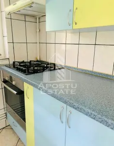 Apartament cu 2 camere si living la parter Calea Lipovei - foto 7
