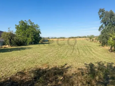 RECO Teren intravilan de vanzare in Gepiu – 1.439 mp - Gepiu