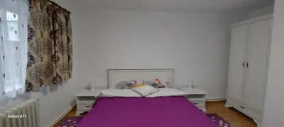 Apartament 2 camere decomandat – Gara / Carrefour | Recent renovat | Mobilier și electrocasnice noi - foto 4