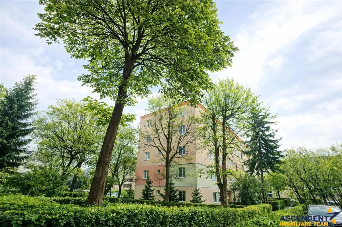 Apartament 2 camere, cartierul Florilor, renovabil, spatiu verde, Brasov - foto 5