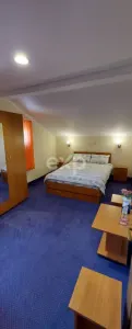 Pensiune 9 camere în Valea Mare Bratia, com. Balilești, jud. Argeș - foto 8