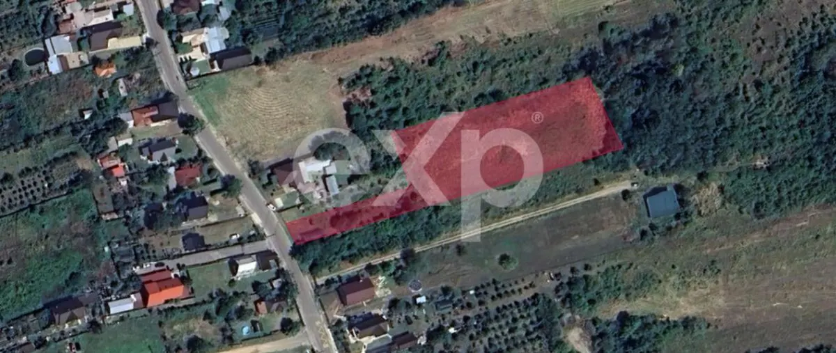 Teren 5.000 mp de vânzare – Zona Dealu Viilor (Mosoaia), cadru natural - foto 1