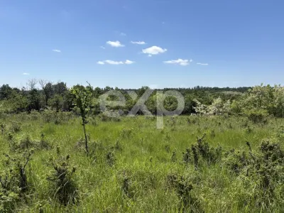 Teren 3015 mp Moșoaia | Zonă liniștită lângă pădure | Ideal casă | 15,99 €/mp - foto 6