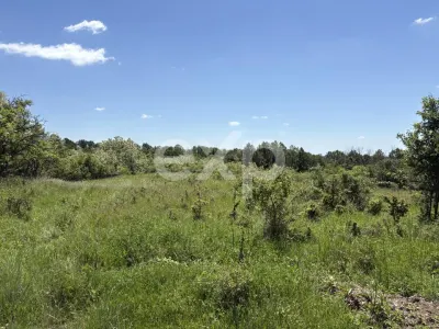 Teren 3015 mp Moșoaia | Zonă liniștită lângă pădure | Ideal casă | 15,99 €/mp - foto 7