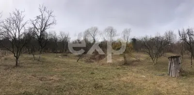 Teren intravilan 2.454 mp cu casă cadou – Zona Runcu, ideal pensiune - foto 2