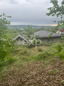 TEREN PREMIUM CU VEDERE SPECTACULOASA LA LIZIERA PADURII | BASCOV | 807 MP | - foto 5