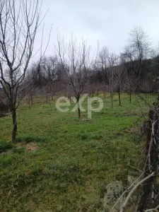 Teren de vânzare – Dragodănești , 1.600 mp - foto 4