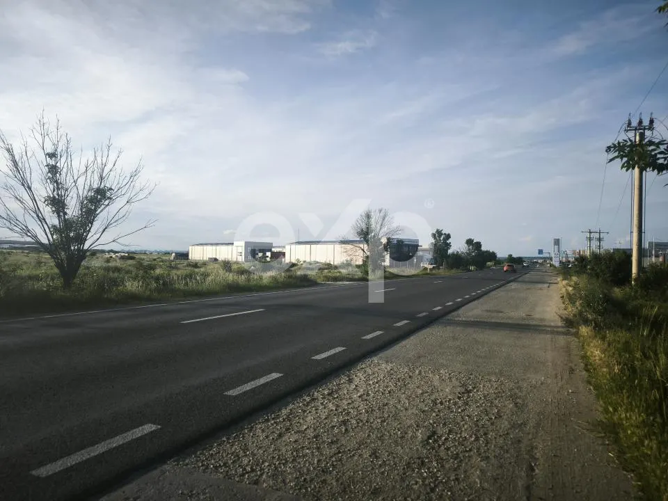 Teren intravilan 11.600 mp | Front 115 ml | Zona Europa – Albota lângă Mercedes - foto 2