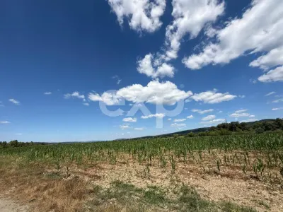Teren 14.000 mp în Budeasa cu vedere superbă către baraj - foto 3