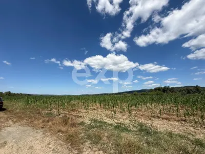 Teren 14.000 mp în Budeasa cu vedere superbă către baraj - foto 4