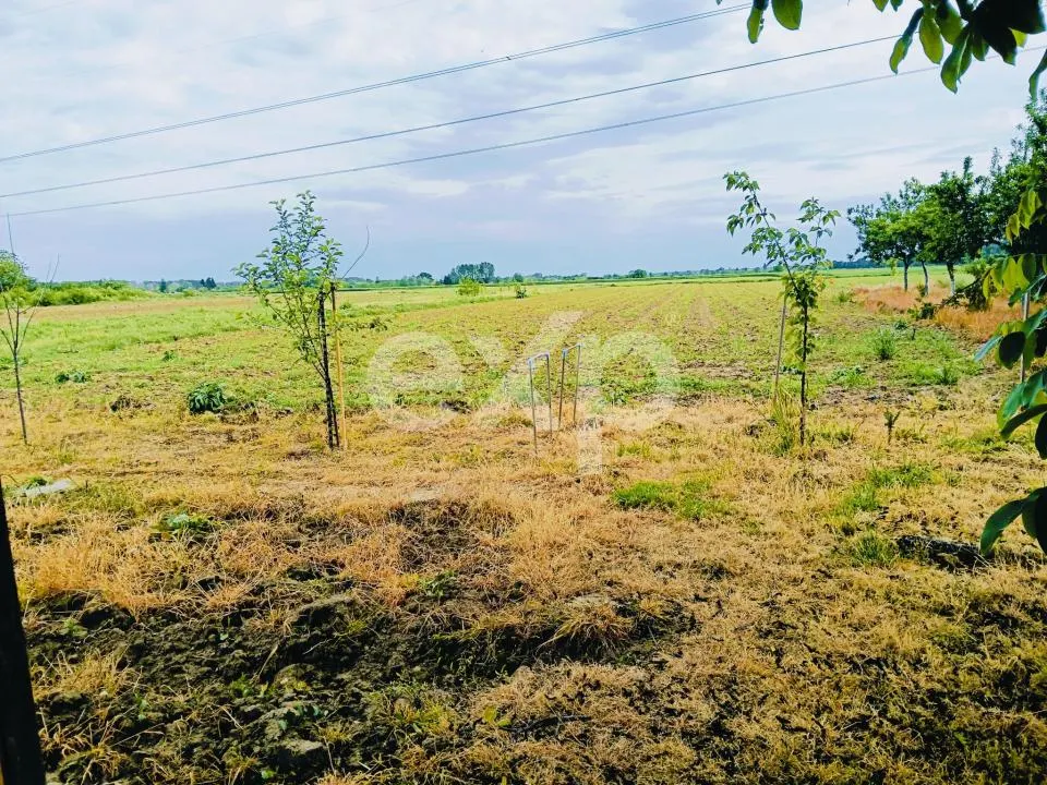 Casă tradițională cu 2029 MP, livadă, puț propriu - foto 9