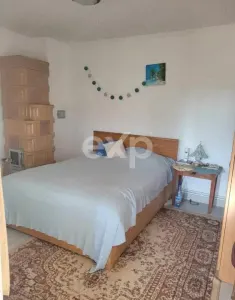 Vând casă solidă an 2000 cu confort modern pe 5200m  teren - Baiculesti