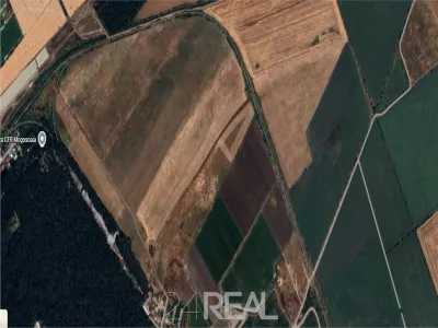Teren de vanzare cu Puz aprobat - 210 000 mp - Mogosoaia - foto 4