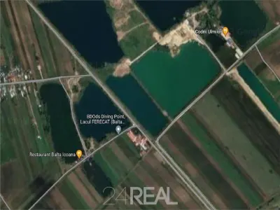 Vanzare teren Ulmi - Giurgiu  -  21150 mp - Ulmi