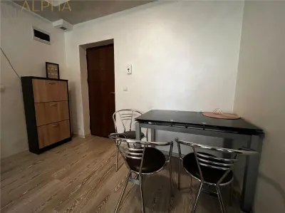 Apartament 2 camere de inchiriat, Subcetate, Parter - foto 9