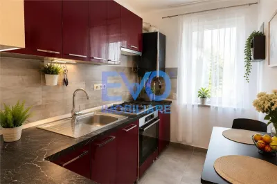 Apartament 2 camere de inchiriat loc parcare inclus, pet friendly, Valea Lupului - foto 4