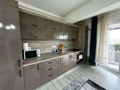 Apartament 2 camere de inchiriat Terasa Parcare inclusa,  Zona str. Ghinzii - foto 8
