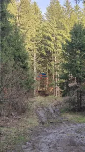 Teren cu padure in com. Caiuti - Caiuti