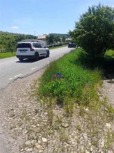Casa de vanzare in Sanduleni, toate utilitatile, teren 1100 mp. - foto 8