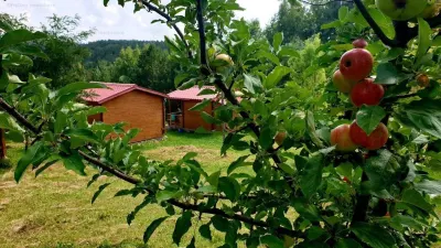 RATE Pensiune 12 cam Superba*** malul Lac Mocearu piscina ,16277mp - foto 15