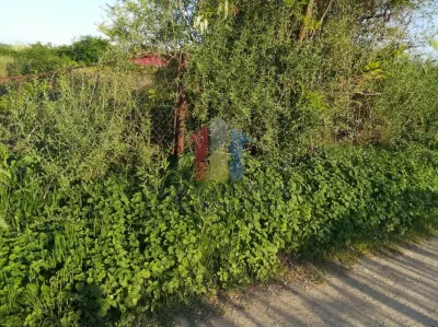 Teren intravilan de constructii, Chiscani, St - 2200 mp, deschidere 50 m - foto 4