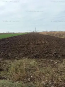 Teren intravilan de constructii, Chiscani, St- 3000 mp - foto 3