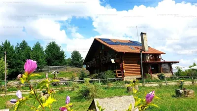 RATE Pensiune Piscina Superba***pe mal Lac Mocearu  70km de Buzau - foto 8