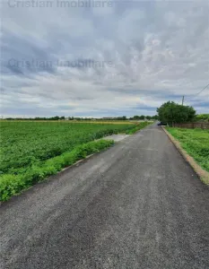 Teren intravilan 8881 mp, stradal, zona Cazasu - foto 2