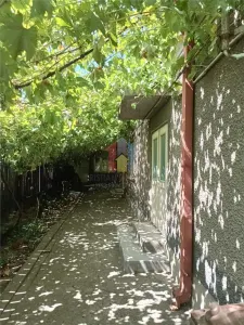 Casa caramida zona Kaufland Dorobanti 4 camere, 235 mp,  toate utilitatile - Braila