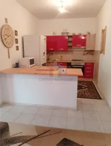 Casa 5 camere, teren 1349 mp, la 20Km de Braila - foto 12