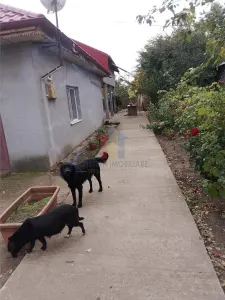 Casa 5 camere, teren 1349 mp, la 20Km de Braila - foto 13