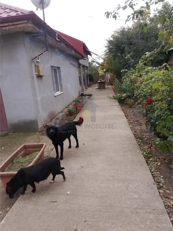 Casa 5 camere, teren 1349 mp, la 20Km de Braila - foto 13