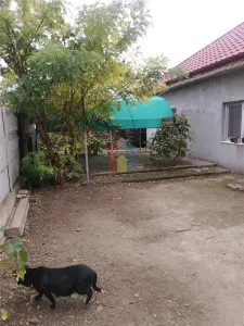 Casa 5 camere, teren 1349 mp, la 20Km de Braila - foto 16