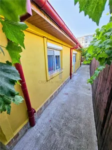 VIDEO! Casa 3 camere caramida si boltari Dorobantilor-Plantelor - foto 5