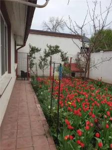 Casa 3 camere, toate utilitatile, teren 512 mp Radu Negru - Buzaului - foto 4