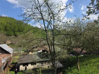 Casa cu teren generos in zona turistica de munte ,Nadrag,Timis - foto 11