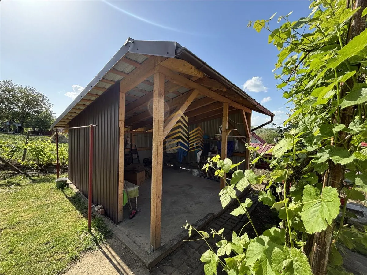 Spre vanzare casa in Lechinta - foto 6