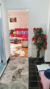 3 camere, etaj 1, SPATIOS 80 mp, Buzaului ( B-uri) - foto 3