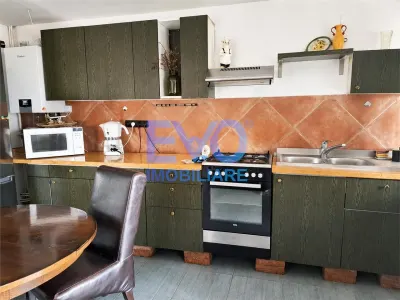 Apartament 2 camere de inchiriat, loc parcare, curte, Valea Lupului - foto 3