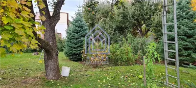 Teren central Suceava - Suceava