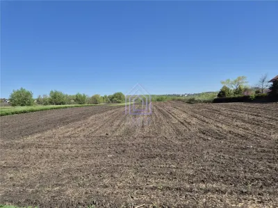 Teren intravilan Moara Bulai 51 ari - foto 4