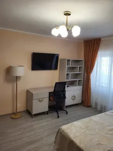 Apartament 1 Cameră, Complet Renovat – Nicolina- Belvedere - foto 2