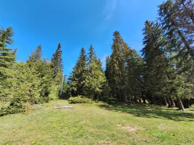 TEREN DE VANZARE 7000 MP INTRAVILAN -STATIUNEA PALTINIS! - foto 2